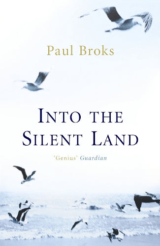Into the Silent Land Travels in Neuropsychology by Broks, Paul ( Author ) ON May-13-2004, Paperback