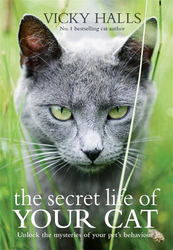 The Secret Life of Your Cat: Unlock the Mysteries of Your Cats Behaviour