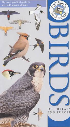 Kingfisher Field Guide to the Birds of Britain and Europe (Kingfisher field guides)