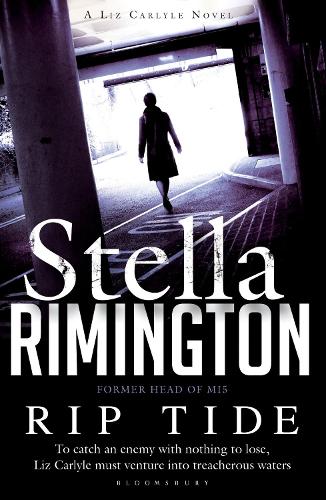 Rip Tide: A Liz Carlyle novel (Liz Carlyle 6)