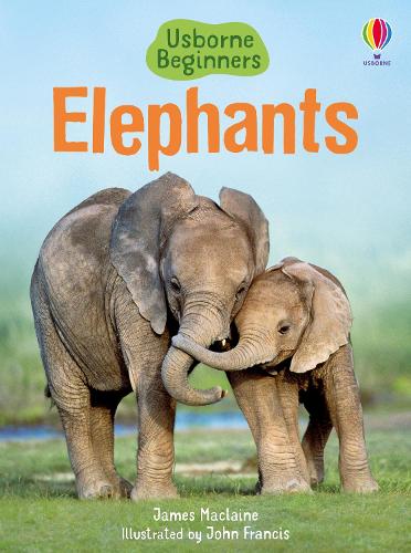Elephants (Usborne Beginners)