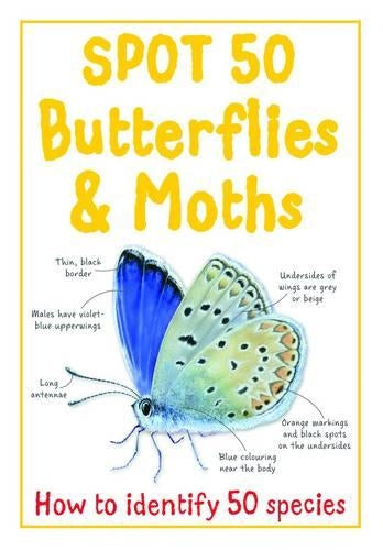 Spot 50 Butterflies and Moths (Large Spot 50 Series)