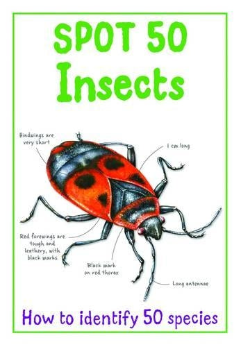 Spot 50 Insects (Large Spot 50 Series)