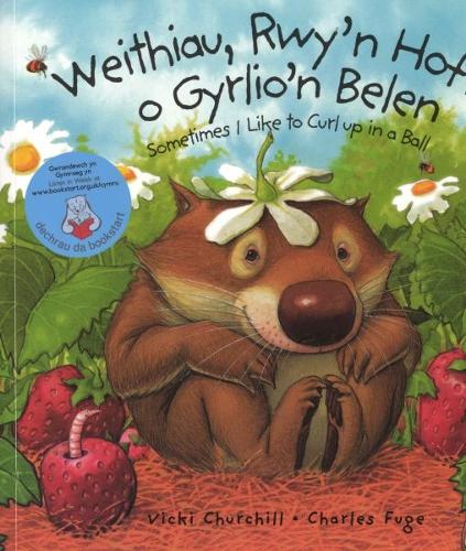 Weithiau, Rwyn Hoff O Gyrlion Belen/sometimes I Like to Curl Up in a Ball