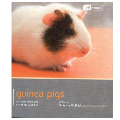Guinea Pig - Pet Friendly: Understanding and Caring for Your Pet