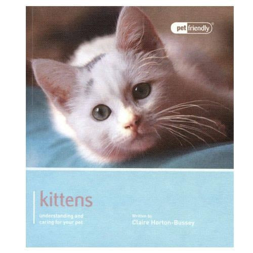 Kittens - Pet Friendly: Understanding and Caring for Your Pet