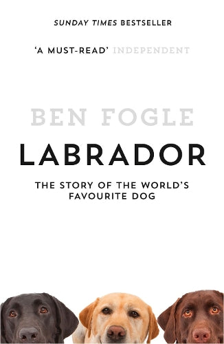 Labrador: The Story of the Worlds Favourite Dog