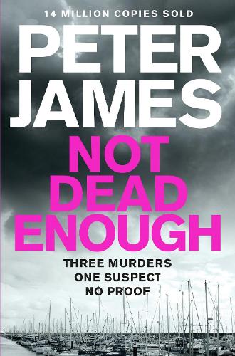 Not Dead Enough (Roy Grace)