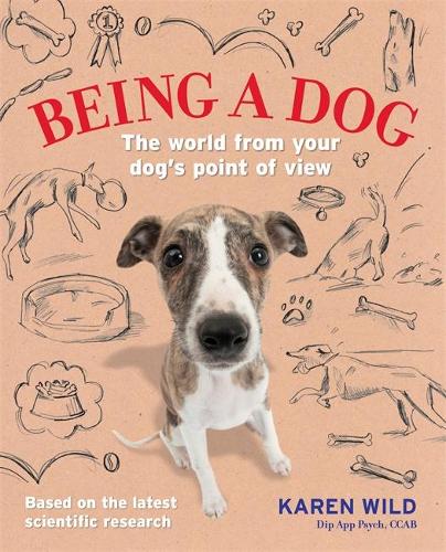 Being a Dog: The world from your dogs point of view