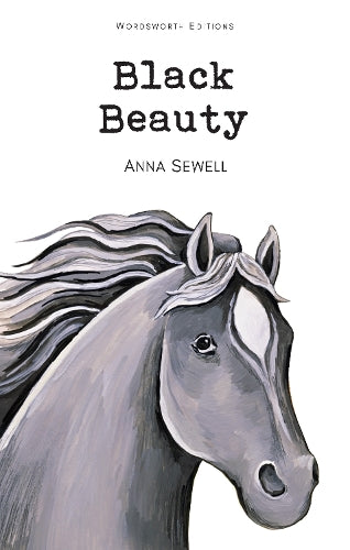 Black Beauty (Childrens Classics)