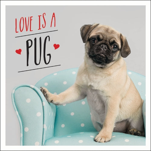 Love is a Pug: A Pugtastic Celebration of The Worlds Cutest Dogs