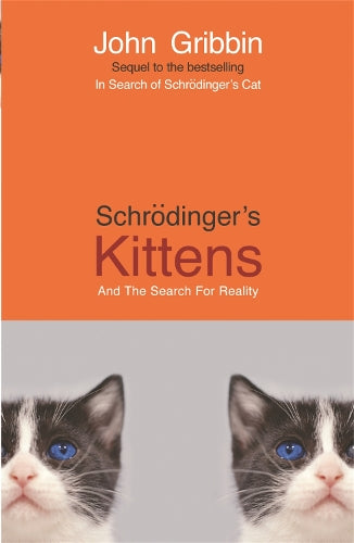 Schrodingers Kittens and the Search for Reality