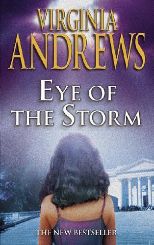 The Eye of the Storm (The Hudson Family)