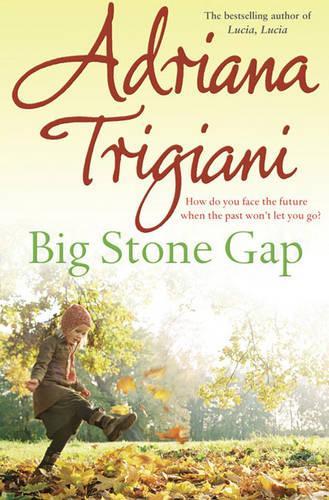 Big Stone Gap (Big Stone Gap Saga 1)