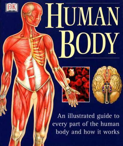 Human Body: An Illustrated Guide To Every Part Of The Human Body And How It Works