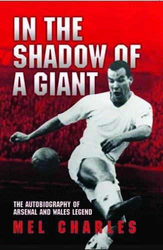 In the Shadow of a Giant