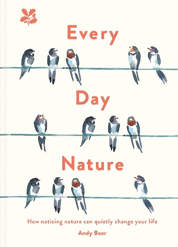 Every Day Nature: How noticing nature can quietly change your life