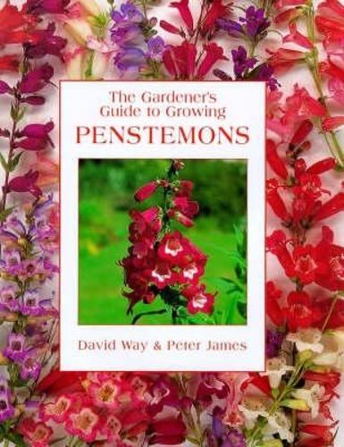 The Gardeners Guide to Growing Penstemons