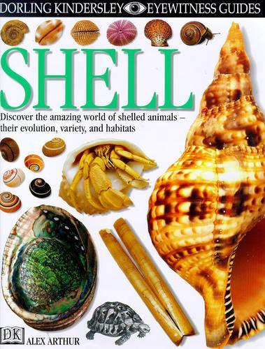 Shell (Eyewitness)