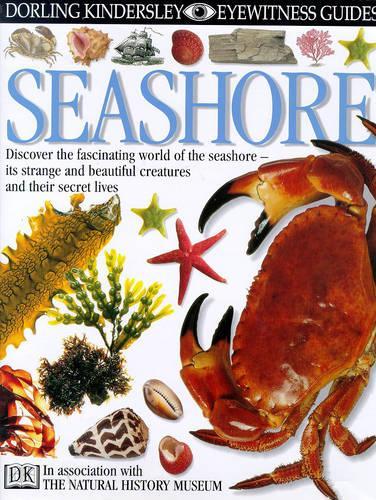 Seashore (Eyewitness Guides)