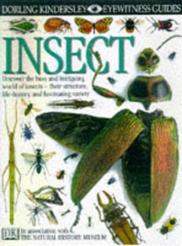 Insect (Eyewitness Guides)