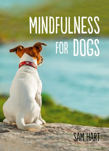 Mindfulness for Dogs