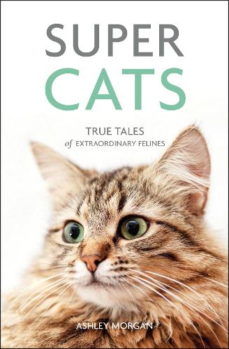 Super Cats: True Tales of Extraordinary Felines