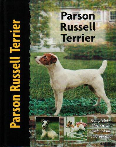 Parson Russell Terrier - Pet Love