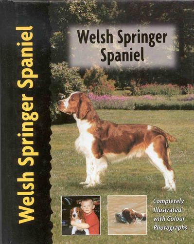 Welsh Springer Spaniel (Pet love)