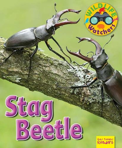 Wildlife Watchers: Stag Beetle 2017 (Ruby Tuesday Readers)