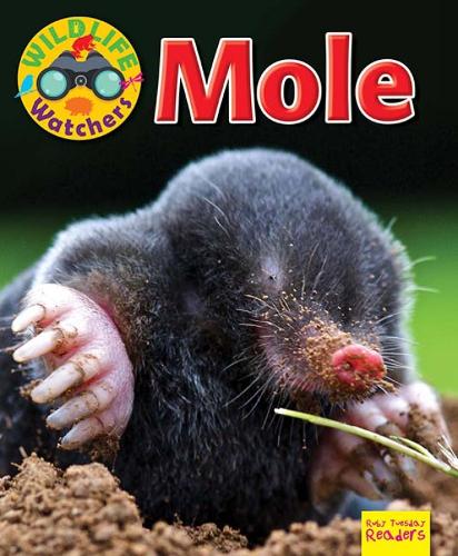 Wildlife Watchers: Mole 2017 (Ruby Tuesday Readers)