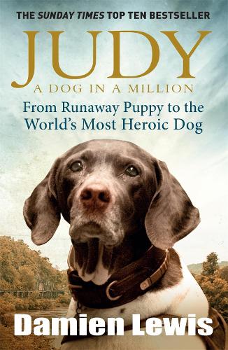 Judy: A Dog in a Million: From Runaway Puppy to the Worlds Most Heroic Dog
